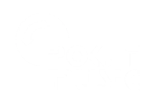 Logo Pokut Music
